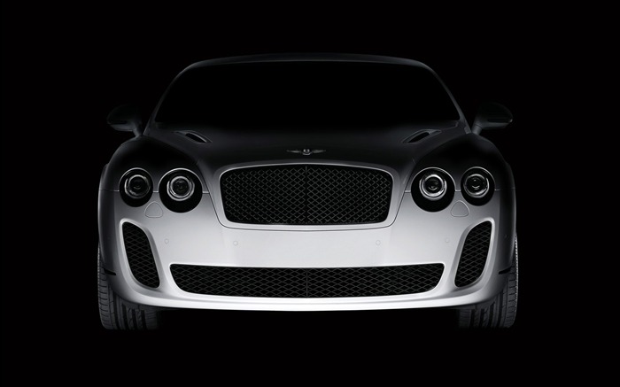 Bentley álbum de fondo de pantalla (2) #19