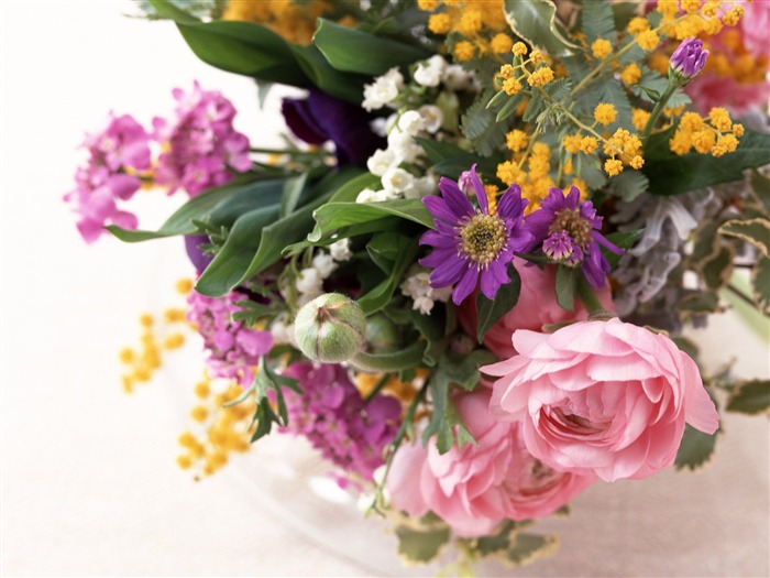 Fotografía de la habitación de flores fondos de pantalla #1