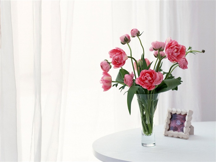 Room Flower photo wallpapers #16