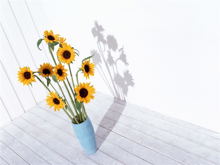 Room Flower photo wallpapers #19