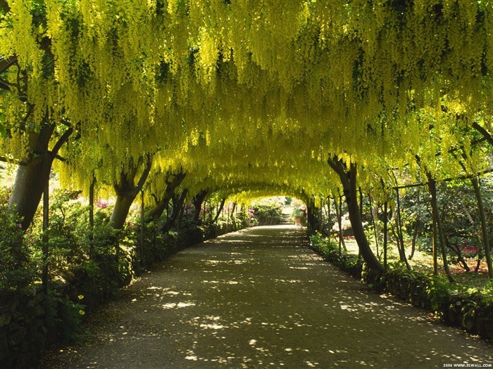 Jardín Fondos de Arte #18