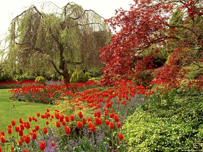 Jardín Fondos de Arte #21