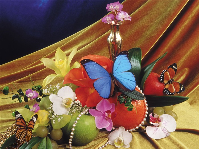 Las mariposas y las flores fondos de escritorio de disco (2) #19