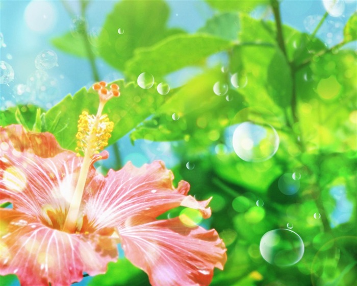 梦幻CG背景花卉壁纸1
