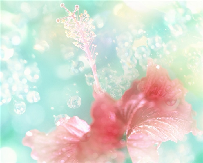 Fantasy CG Background Flower Wallpapers #5