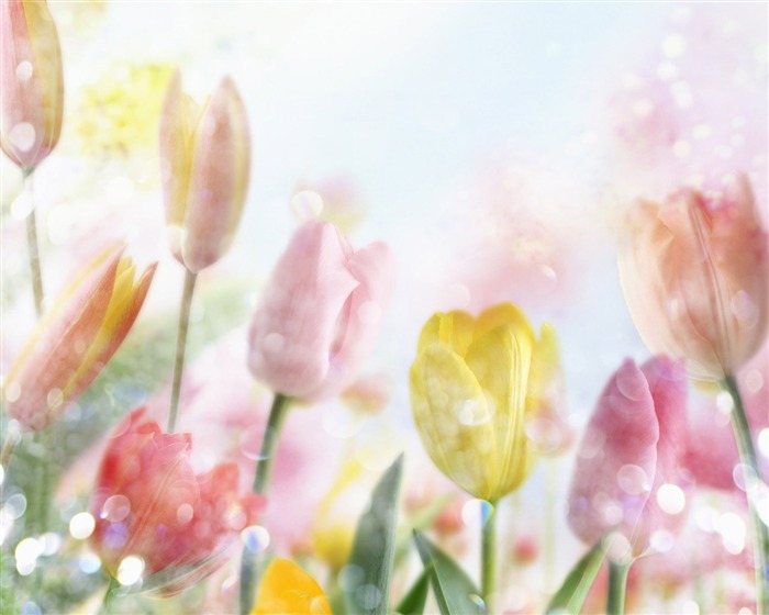 Fantasy CG Background Flower Wallpapers #9