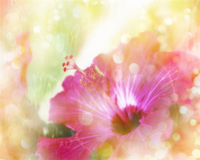 Fantasy CG Background Flower Wallpapers #18