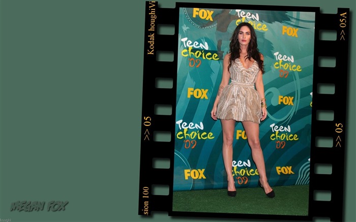 Megan Fox hermoso fondo de pantalla #24