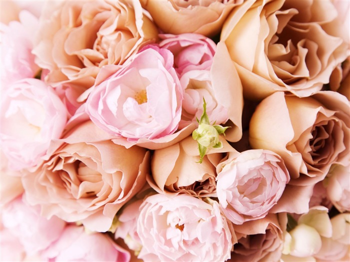 Wedding Flowers Wallpapers (2) #14