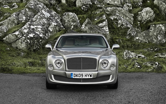 Bentley wallpaper album (4) #18