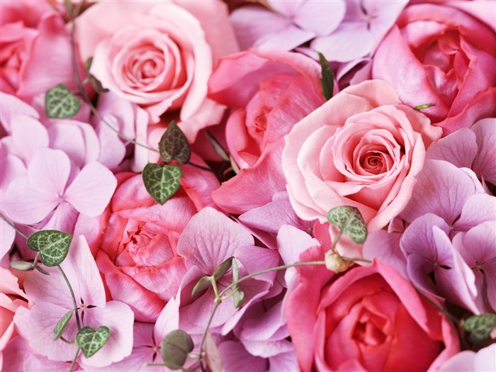 Wedding Flowers Wallpapers (3) #1