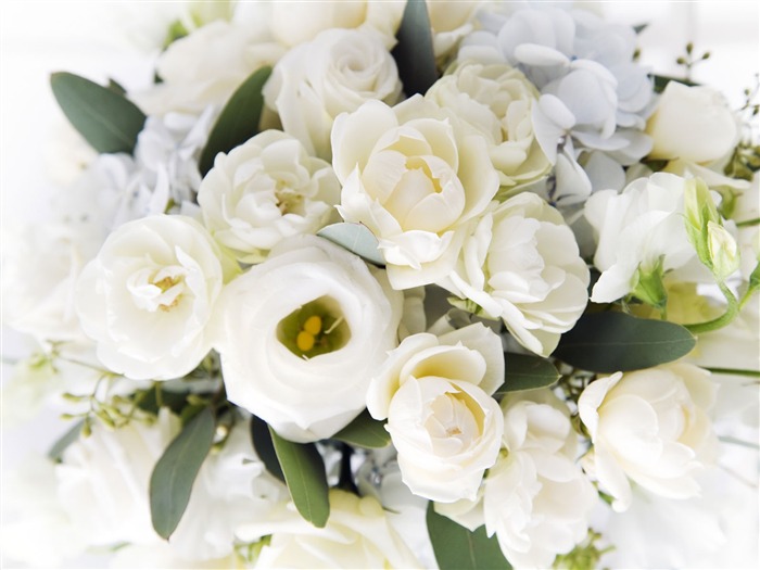 Wedding Flowers Wallpapers (3) #9