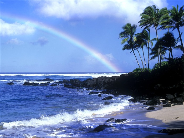 바탕 화면 하와이의 아름다운 풍경 #25