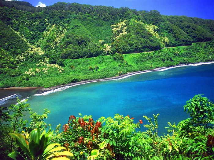 바탕 화면 하와이의 아름다운 풍경 #35