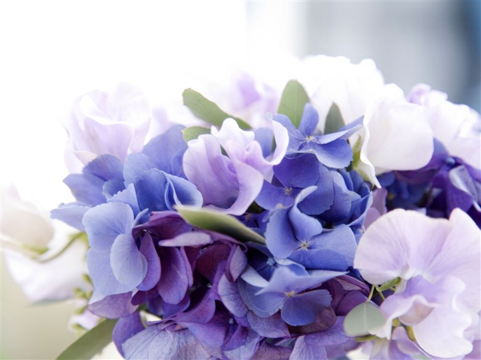 Wedding Flowers Wallpapers (4) #9