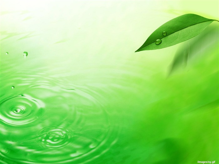 Watermark fresh green leaf wallpaper #4