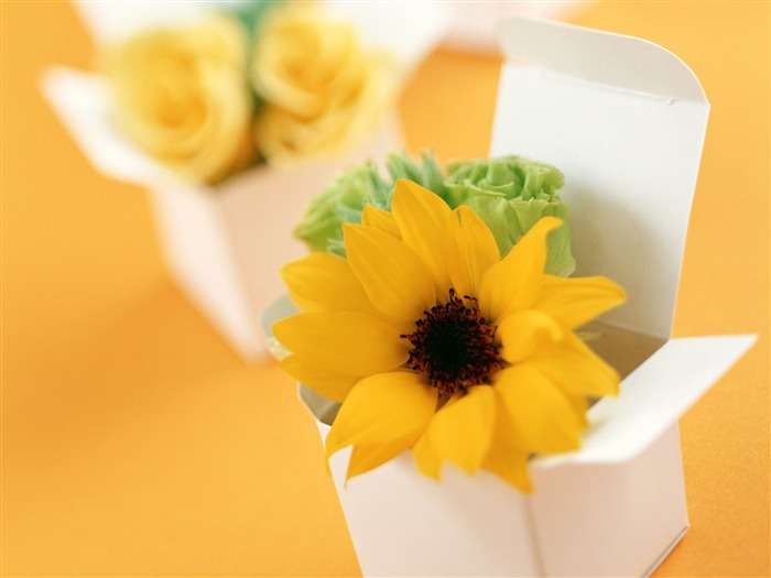 Flowers and gifts wallpaper (1) #5