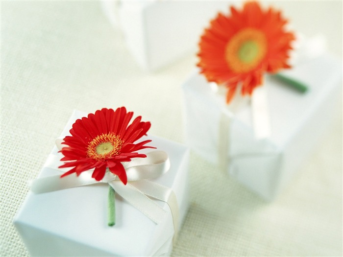 Flowers and gifts wallpaper (1) #18