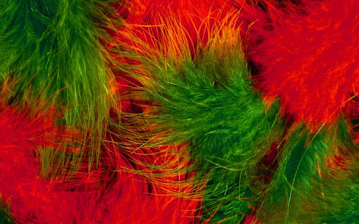 Colorful feather wings close-up wallpaper (1) #9