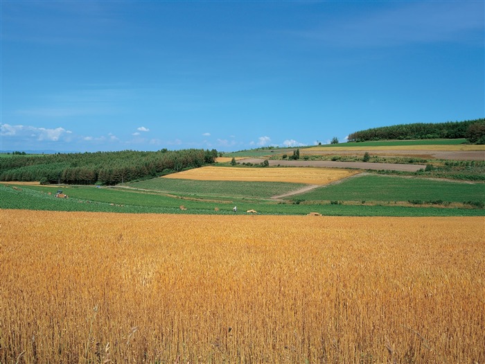 beauté naturelle de Corée du Sud #38