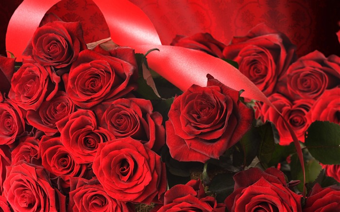 Large Rose Photo Wallpaper (4) #18