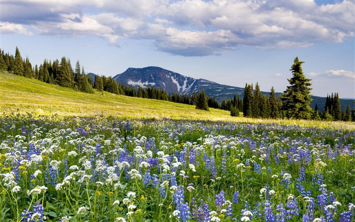 Fond d'écran paysage canadien HD (1) #13