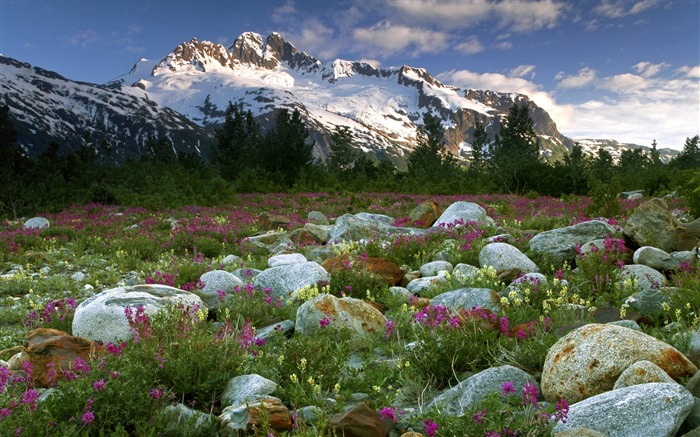 Fond d'écran paysage canadien HD (1) #19