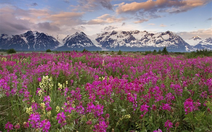 Fond d'écran paysage canadien HD (2) #13