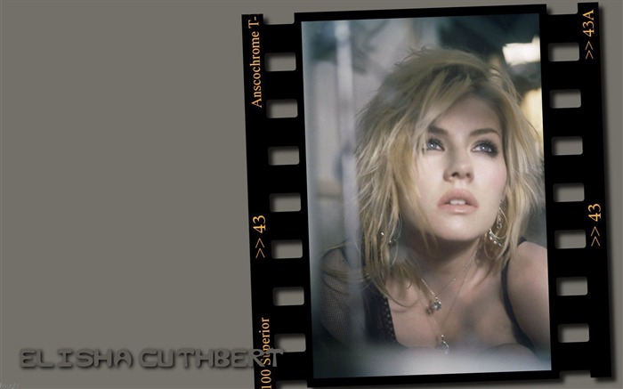 Elisha Cuthbert 伊丽莎·库斯伯特 美女壁纸16