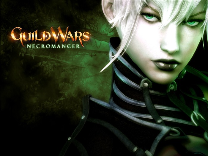 Guildwars wallpaper (1) #15