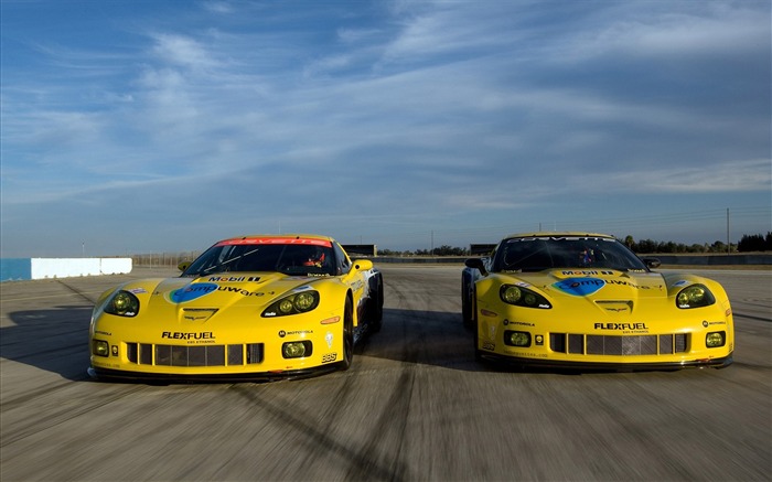 Corvette 2010 fondo de pantalla #2