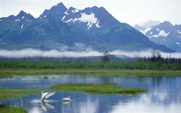 Alaska scenery wallpaper (1) #12