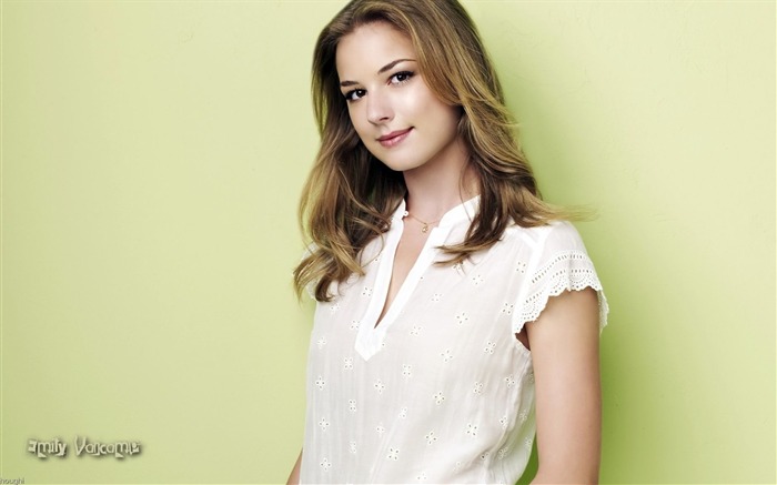 Emily VanCamp beau fond d'écran #4