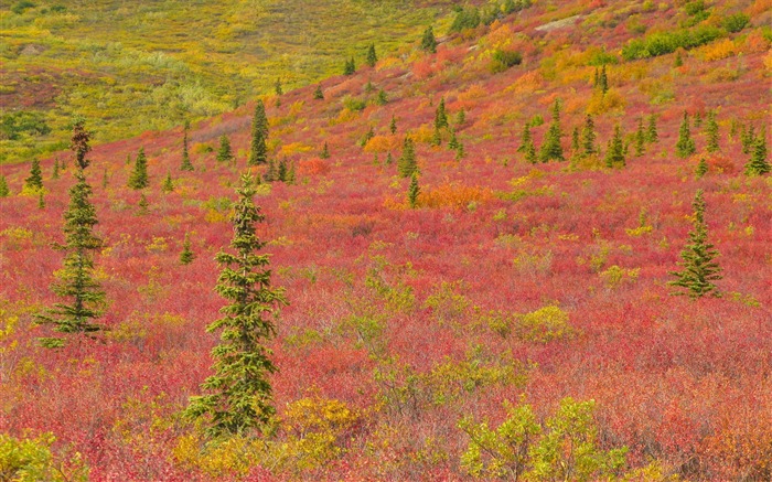 アラスカの風景の壁紙(2) #2