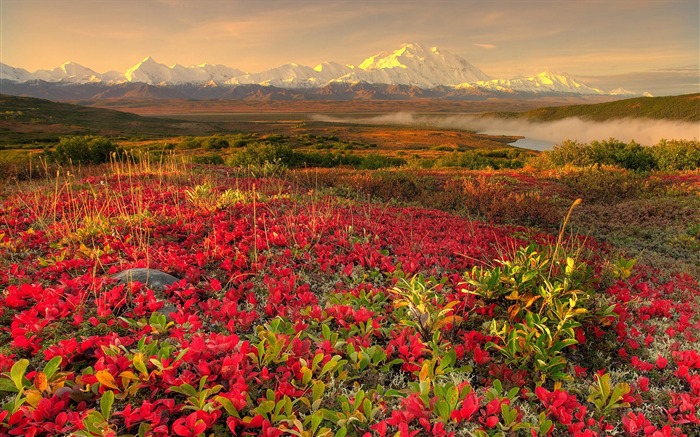 Fondos de escritorio de paisajes de Alaska (2) #6