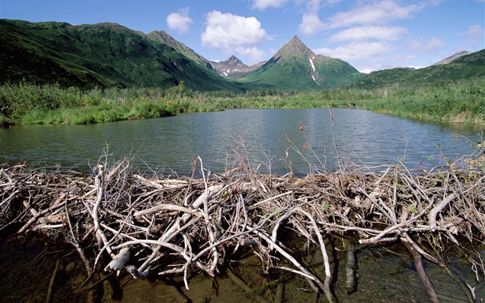 Fondos de escritorio de paisajes de Alaska (2) #9