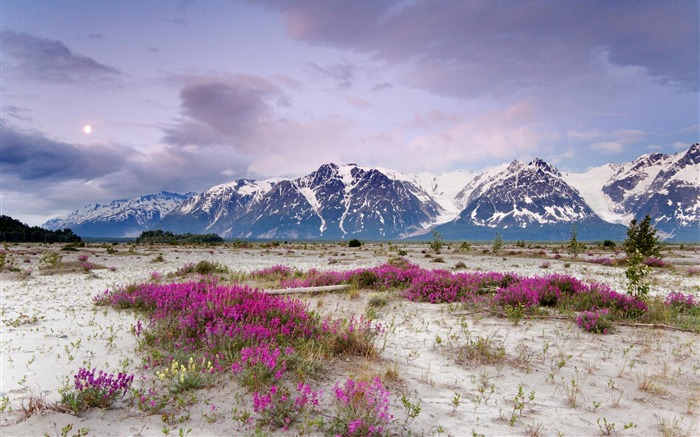 Alaska scenery wallpaper (2) #18