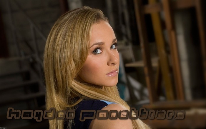 Hayden Panettiere schöne Tapete #8