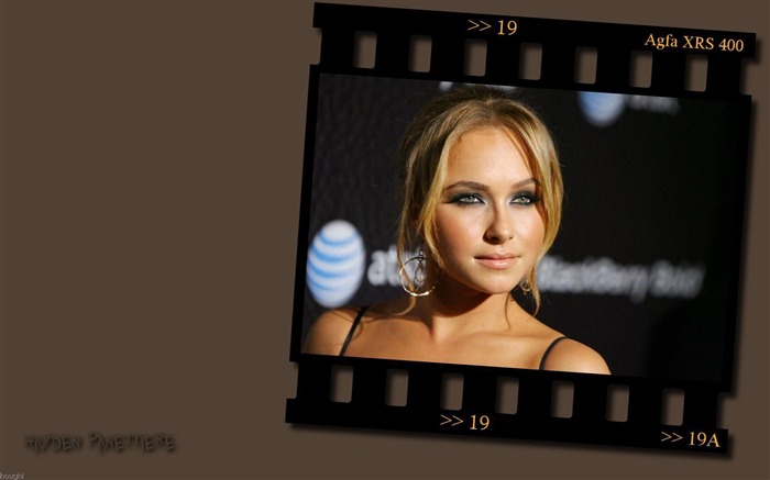 Hayden Panettiere schöne Tapete #9