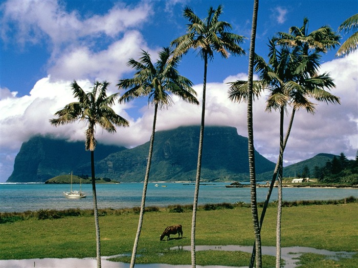 Playa fondos de escritorio de la isla (1) #16