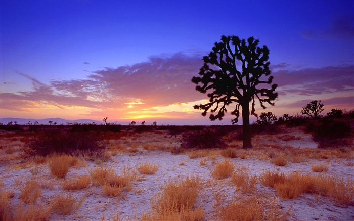 California Scenery Wallpapers (1) #14