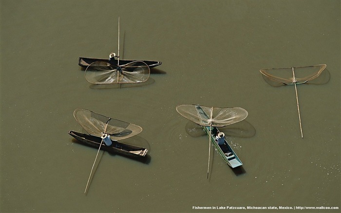 Yann Arthus - Bertrand는 공중 사진 촬영이 월페이퍼 경이로움 #3