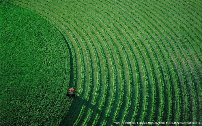 Yann Arthus-Bertrand Letecké fotografie zázraky na plochu #12