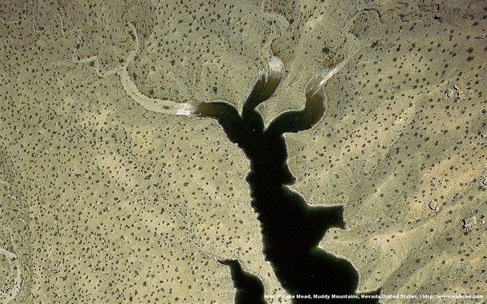 Yann Arthus-Bertrand fotografía aérea maravillas fondos de pantalla #16