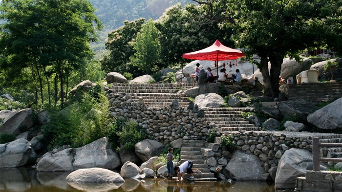 Lugar de nacimiento de montaña Song (Minghu obras Metasequoia) #5
