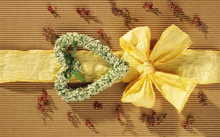 Širokoúhlý tapety květiny close-up (5) #19