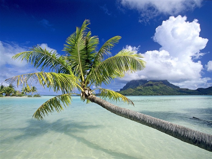 Beach Insel Wallpaper (2) #26