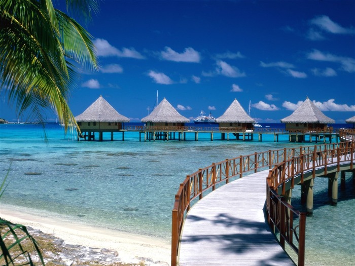 Beach ostrov tapety (2) #30