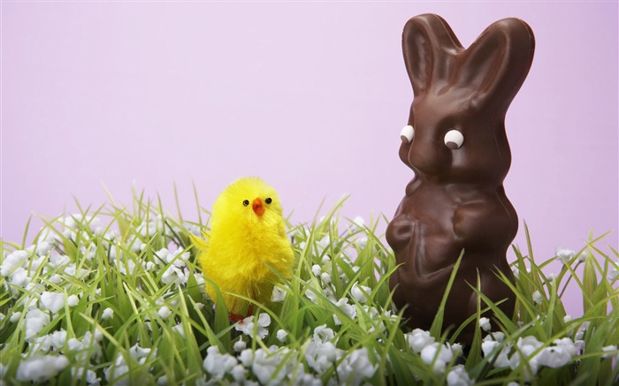 Easter wallpaper album (11) #11