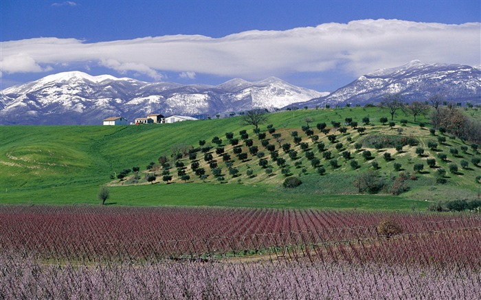 Italian Landscape wallpaper (1) #4